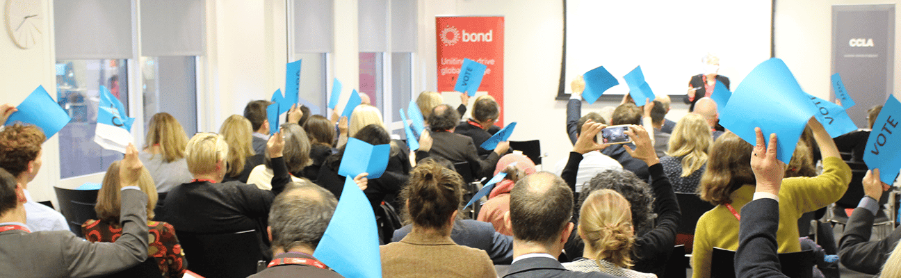 Voters at the Bond AGM 2018