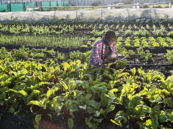 Woman growing food