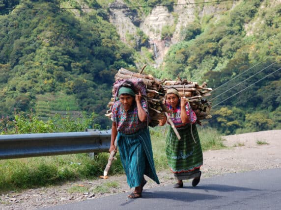 Women carrying wood up a hill on their backs