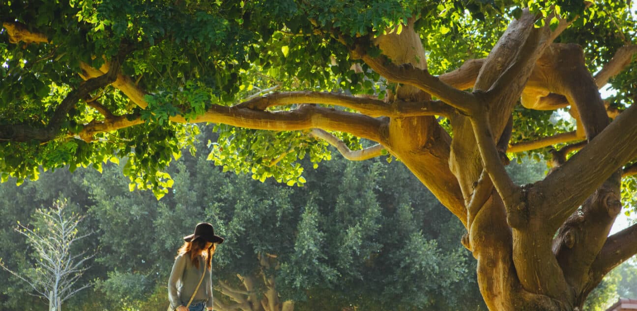 Woman walks under a tree