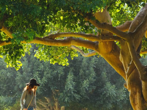 Woman walks under a tree