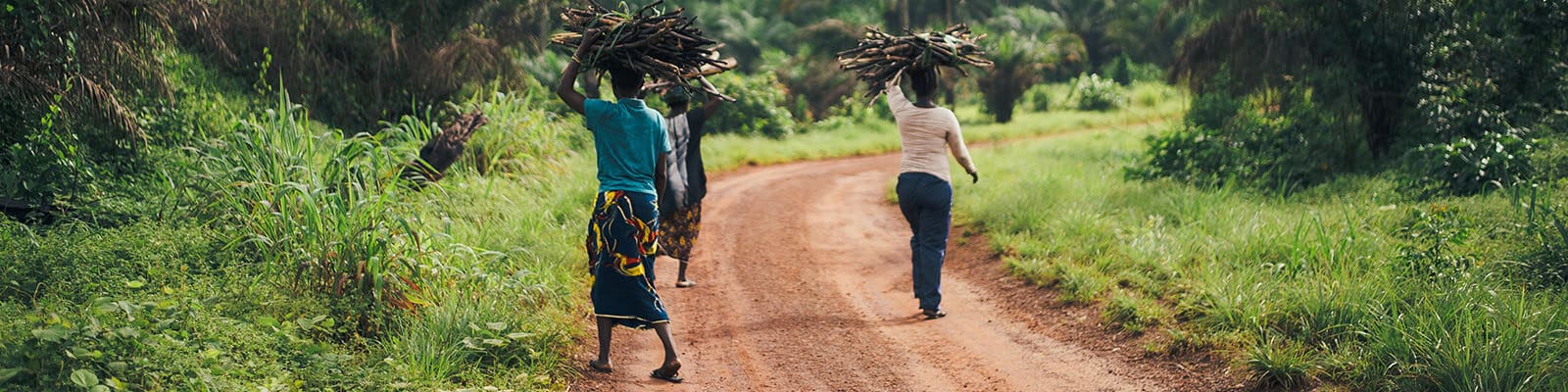 Women collecting wood in Sierra Leone