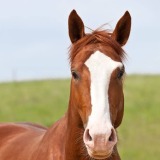 Profile photo of rebecca test 2 sher
